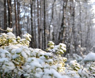 В Оленегорск пришла зима-2018