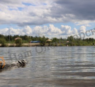 МЧС напоминает: в водоемах Мурманской области купаться запрещено