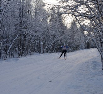 «Лыжня России» прошла через Оленегорск