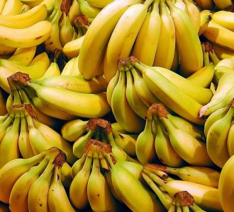 Бананы могут исчезнуть